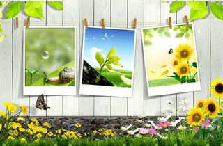 欢迎春天开花背景