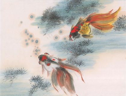 鱼虾蟹龟高清图片素材