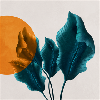 抽象叶子方形装饰画