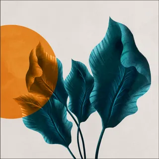 抽象叶子方形装饰画