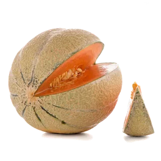 哈密瓜现代农业