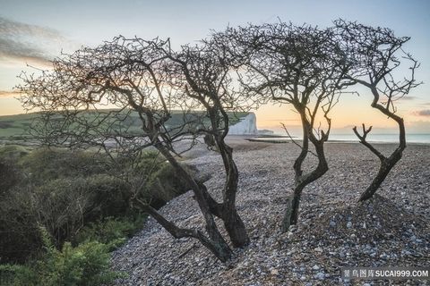 英国海岸的美丽的日出景观 英国海岸的美丽的日出景观