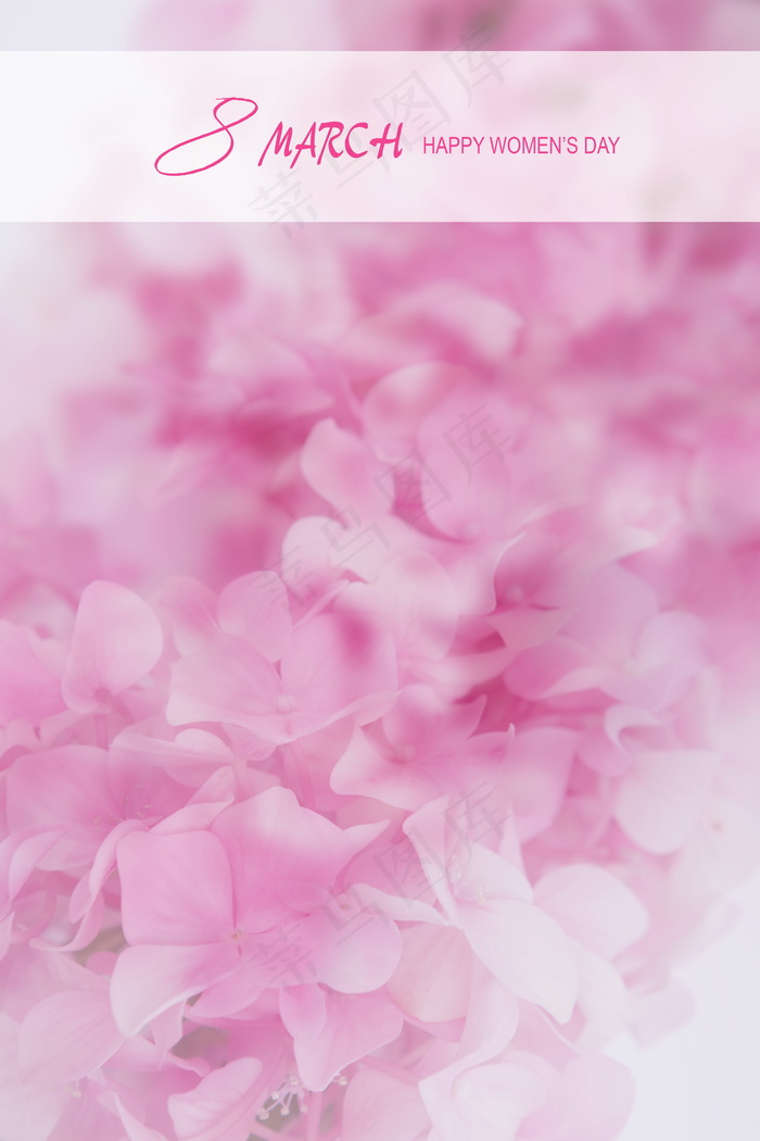 3月8日妇女节图片下载