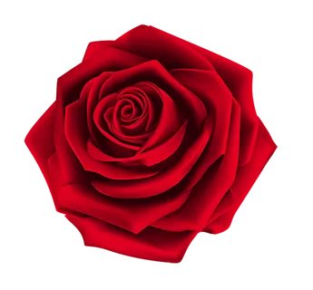 鲜花玫瑰免扣素材