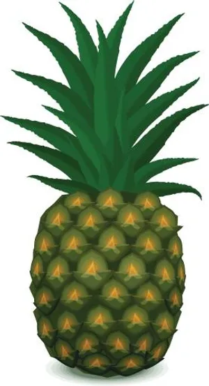 菠萝PNG图像，免费下载免抠