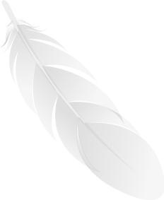 羽毛 PNG免抠