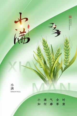 小满 小满节气海报