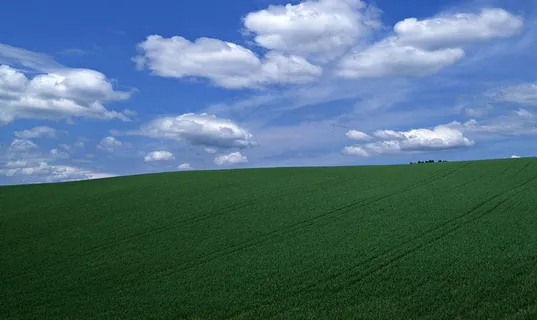 蓝天白云下整齐的农田