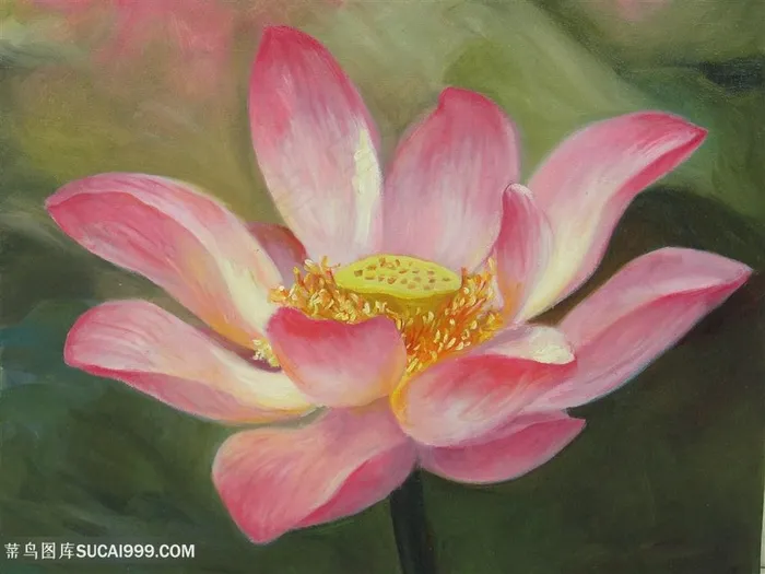 高清水彩莲花油画装饰画手绘插画