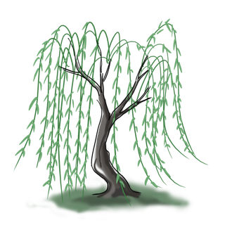 春天绿色春季水墨柳树柳条柳叶春季海报设计PNG免扣素材