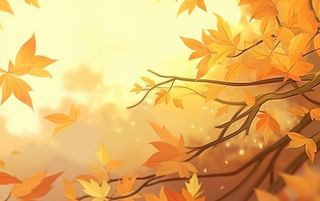 秋季金色枫叶树枝阳光倒影背景