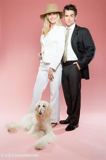 高清美女帅哥与阿富汗猎犬狗狗图片