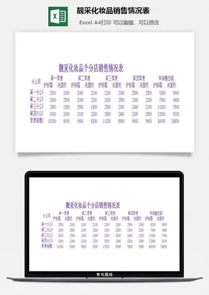 靓采化妆品销售情况表excel模板预览图