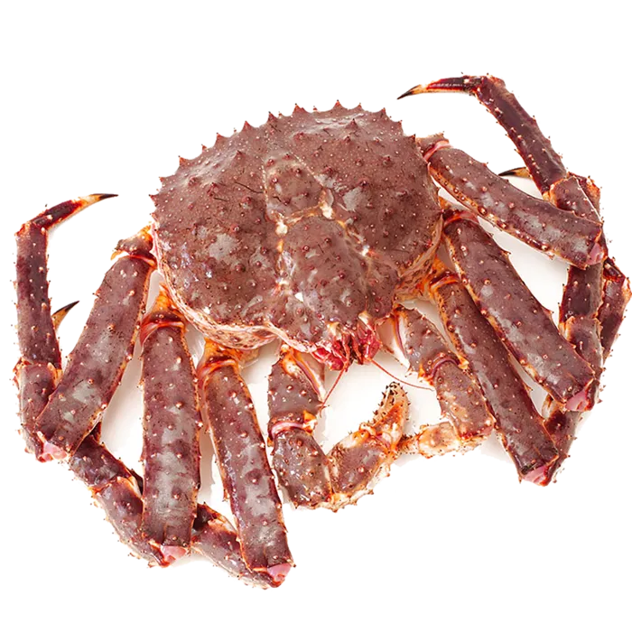帝王蟹 (1)海鲜超市商品红酒白底图免抠实物摄影png格式图片透明底