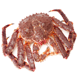 帝王蟹 (1)海鲜超市商品红酒白底图免抠实物摄影png格式图片透明底