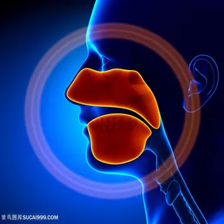 面部器官医疗主题高清图片 面部器官医疗主题高清图片