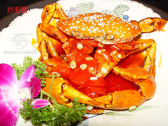 炒毛蟹美食元素菜品psd模版下载