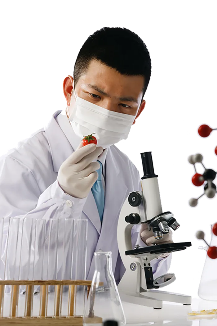 水果研究人员科研人员
