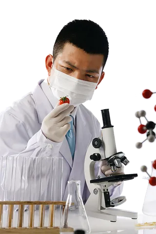 水果研究人员科研人员