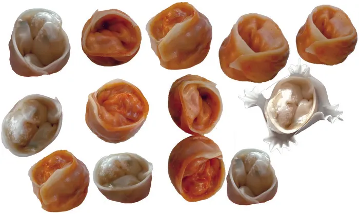 轻食元宝玫瑰饺子韩式泡菜菌菇粉丝手工饺子免抠元素合集cdr矢量模版下载