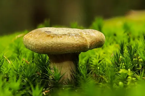 女士化妆用品图片 女士化妆用品图片