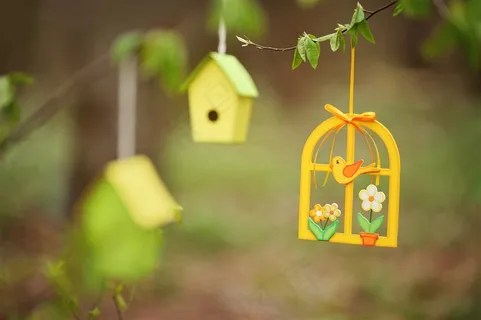 小鸟的屋子文艺背景 小鸟的屋子文艺背景
