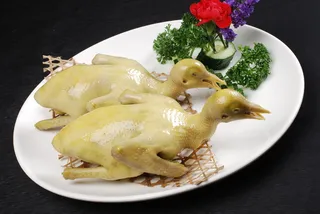 LCH2589盐水妙龄鸽