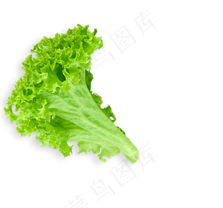蔬菜青菜生菜免扣PNG素材