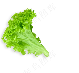 蔬菜青菜生菜免扣PNG素材