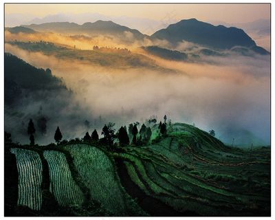 山上梯田风景图片下载