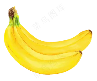 手绘插画-香蕉1