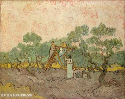 梵高橄榄树拾荒者油画风景图片