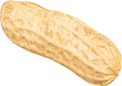 06_Peanut
