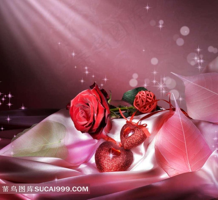 鲜花玫瑰图片下载