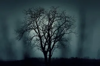 万圣节黑夜恐怖图片