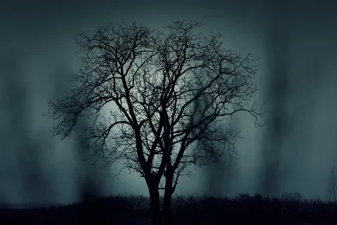 万圣节黑夜恐怖图片 万圣节黑夜恐怖图片