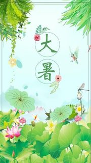 简约大气大暑手机海报