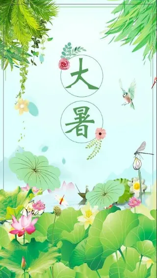 简约大气大暑手机海报