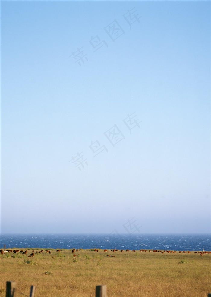 蓝蓝的天上白云飘背景美图素材