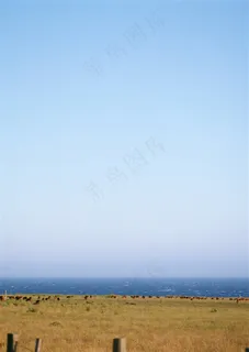 蓝蓝的天上白云飘背景美图素材