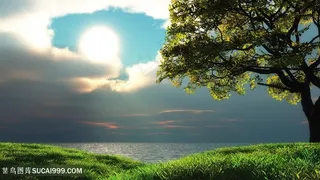 湖畔草地树木壁纸