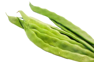 四季豆 (5)超市商品白底图免抠实物摄影png格式图片透明底