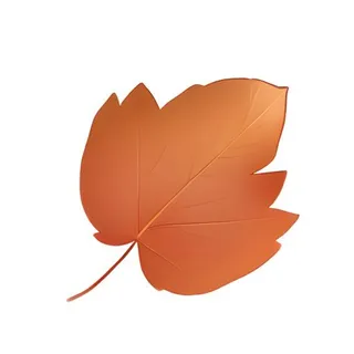 叶子树叶枫叶免抠