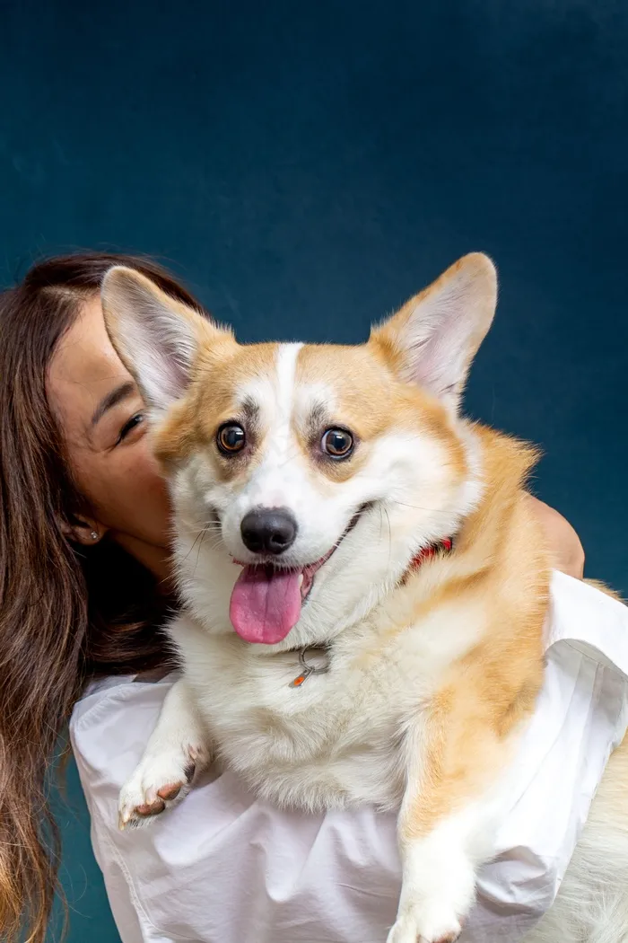 人与狗图片写真