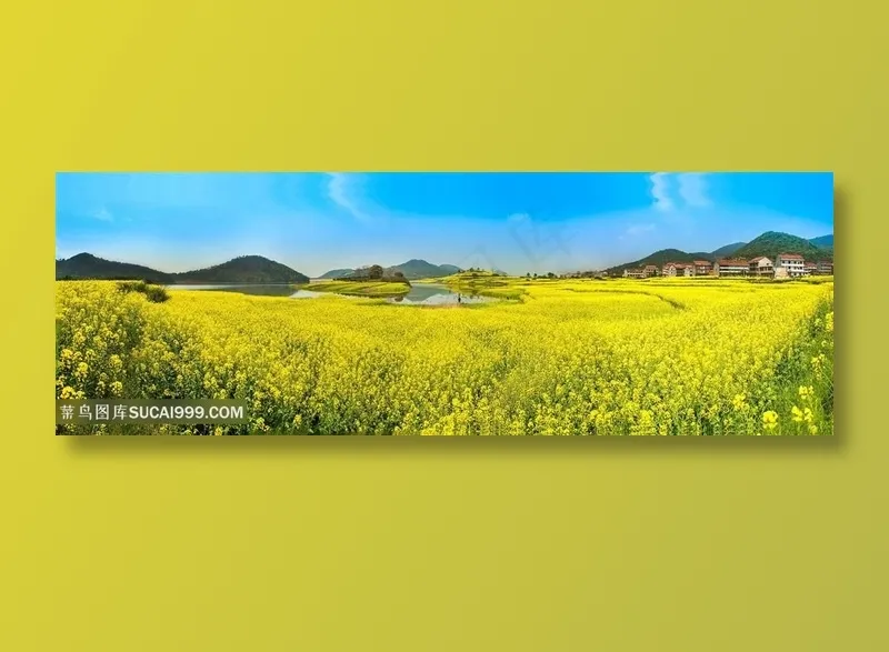 蔚蓝油菜花图片海报