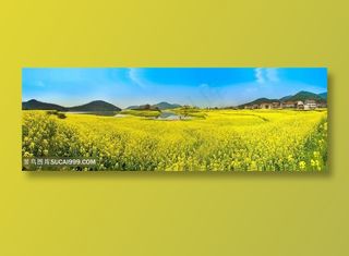 蔚蓝油菜花图片海报
