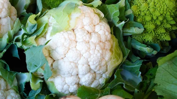 新鲜花菜图片 新鲜花菜图片