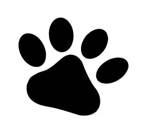 爪子 PNG免抠(800x722)