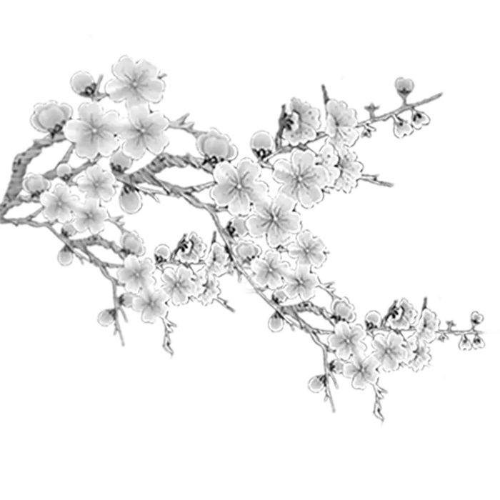 中国古风元素梅花