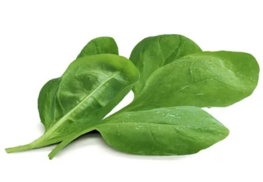 菠菜免抠(580x404)